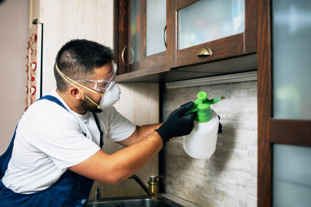 Best Pest Prevention Services  in Wantagh, NY