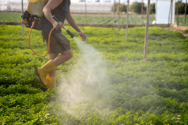 Best Insect Control  in Wantagh, NY