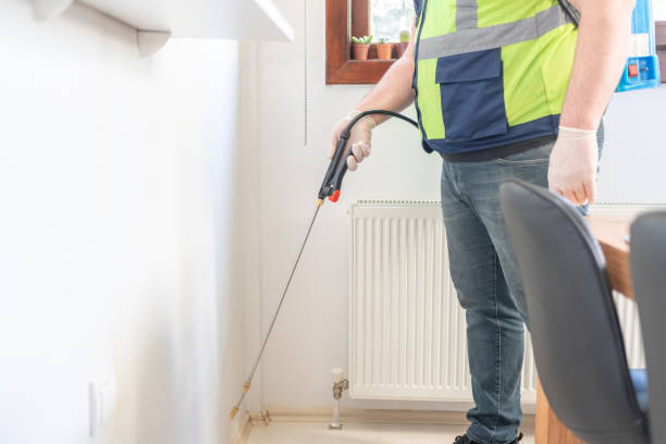 Reliable Wantagh, NY Pest Control Solutions