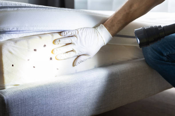 Best Residential Pest Control  in Wantagh, NY